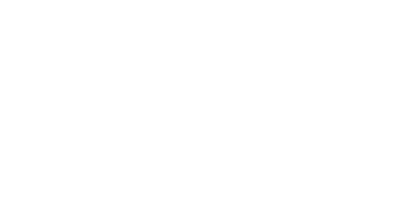 Boba Guru 